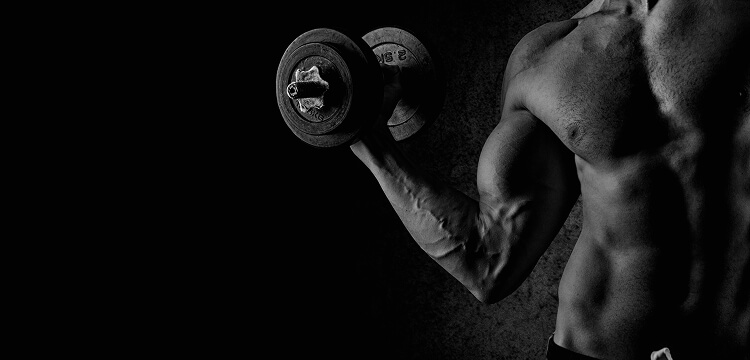 Creatine supplements