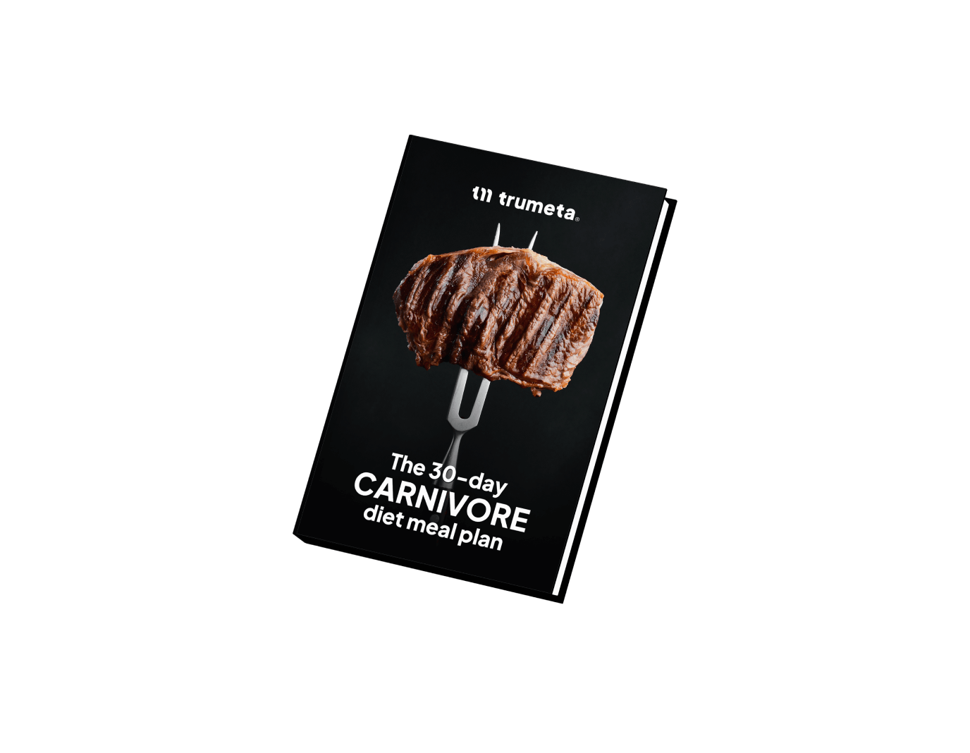 ebook