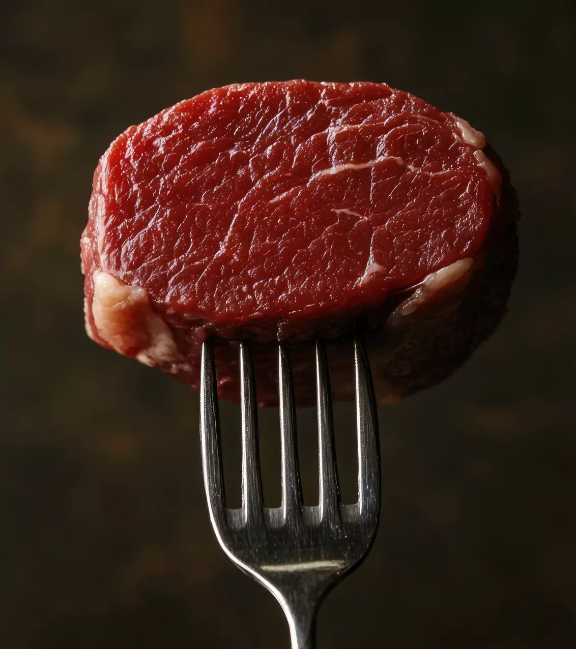 meat on a fork