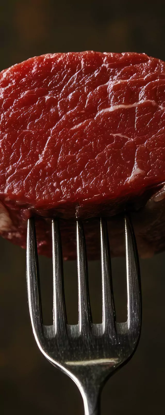 meat on a fork