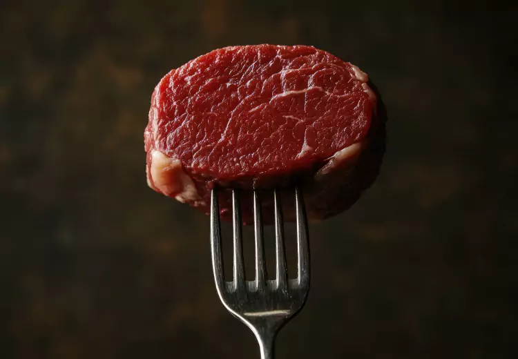 meat on a fork